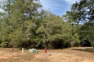 167 Sparkleberry Blvd, Quincy, FL 32351 - Photo 1