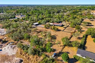 370 Sand Pine Pl, Geneva, FL 32732 - Photo 62