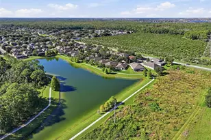 7125 Beek St, Windermere, FL 34786 - Photo 42