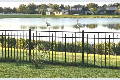 13226 Jervey Street, Windermere, FL 34786 - Photo 4