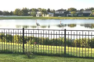 13226 Jervey St, Windermere, FL 34786 - Photo 4