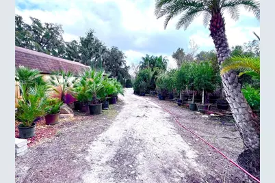 8440 County Road 48, Yalaha, FL 34797 - Photo 8