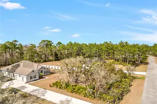 42151 Tamarac St, Eustis, FL 32736 - Photo 2