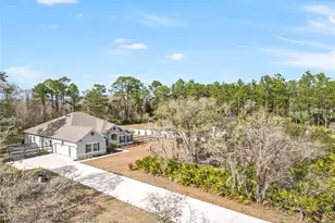 42151 Tamarac St, Eustis, FL 32736 - Photo 58