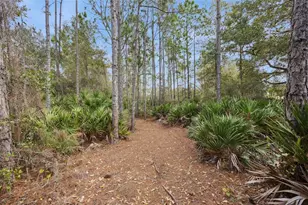 7060 Bridle Path, Saint Cloud, FL 34771 - Photo 24