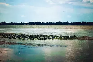 2807 Tindel Camp Rd, Lake Wales, FL 33898 - Photo 32