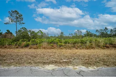 Honeysuckle Street, Eustis, FL 32736 - Photo 6