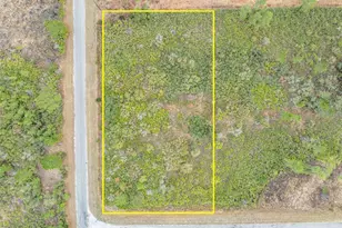 Honeysuckle St, Eustis, FL 32736 - Photo 1