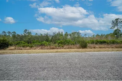Honeysuckle Street, Eustis, FL 32736 - Photo 2