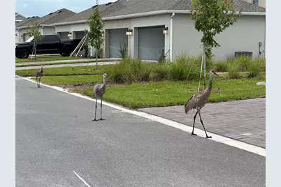 3037 Ella Way, Saint Cloud, FL 34771 - Photo 6