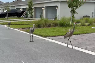 3037 Ella Wy, Saint Cloud, FL 34771 - Photo 6