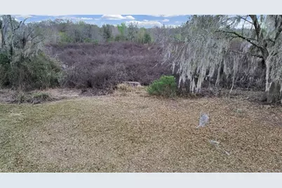 9924 Art Acres Road, Dover, FL 33527 - Photo 8