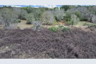 9924 Art Acres Road, Dover, FL 33527 - Photo 6
