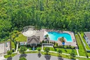 15408 Lebeau Loop, Winter Garden, FL 34787 - Photo 42