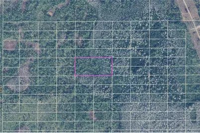 Dill Road, Orlando, FL 32820 - Photo 14