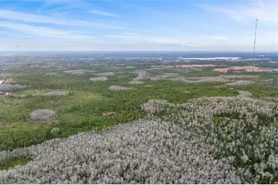 Dill Road, Orlando, FL 32820 - Photo 10