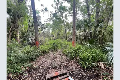 242 Fraser Road, Debary, FL 32713 - Photo 8