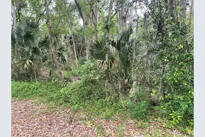 242 Fraser Road, Debary, FL 32713 - Photo 4