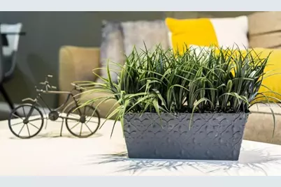 3211 Gold Lane, Kissimmee, FL 34747 - Photo 8