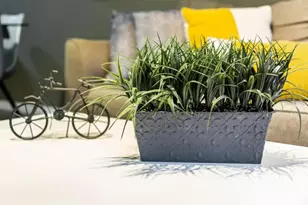 3211 Gold Ln, Kissimmee, FL 34747 - Photo 8