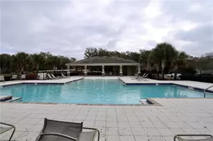 3332 Logan Berry Dr, Mount Dora, FL 32757 - Photo 38