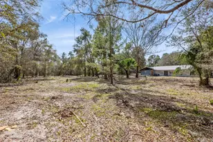 590 S Lawton Ave, Orange City, FL 32763 - Photo 24