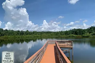 2122 Oak Grove Dr, Zellwood, FL 32798 - Photo 34