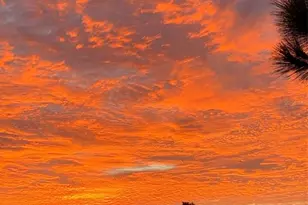 2122 Oak Grove Dr, Zellwood, FL 32798 - Photo 48