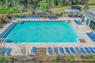 3429 Curlew Ave, Leesburg, FL 34748 - Photo 4