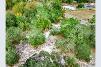 113 Walker Avenue NE, Lake Placid, FL 33852 - Photo 14