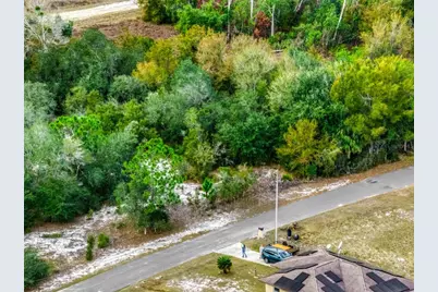 113 Walker Avenue NE, Lake Placid, FL 33852 - Photo 8