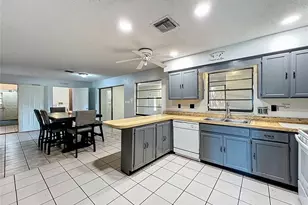 1029 Michelle Ct, Tavares, FL 32778 - Photo 12