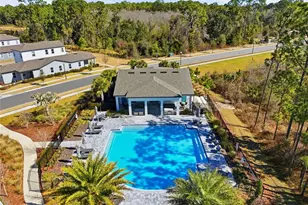 17222 Dancy Orange Ct, Winter Garden, FL 34787 - Photo 52