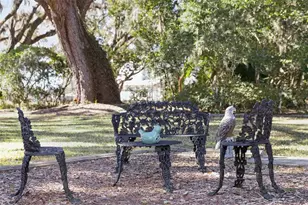 15722 E Oakland Ave, Winter Garden, FL 34787 - Photo 46