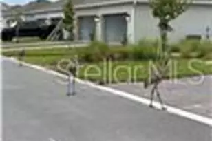 3033 Ella Wy, Saint Cloud, FL 34771 - Photo 12