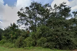 627 Citrus Grove Blvd N, Polk City, FL 33868 - Photo 1