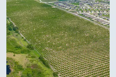 Lake Marie Drive, Haines City, FL 33844 - Photo 8