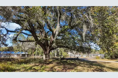 1621 E University Avenue, Gainesville, FL 32641 - Photo 8