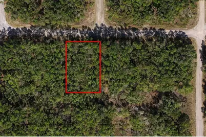 60 E Falcon Street, Dunnellon, FL 34434 - Photo 2