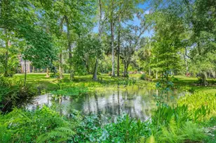 3668 Watercrest Dr, Longwood, FL 32779 - Photo 74