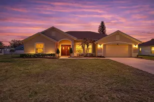 2025 S Fish Camp Rd, Grand Island, FL 32735 - Photo 1