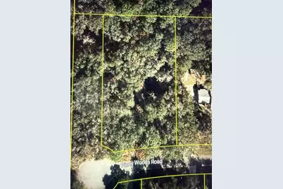 101 Piney Woods Road, Apopka, FL 32703 - Photo 1