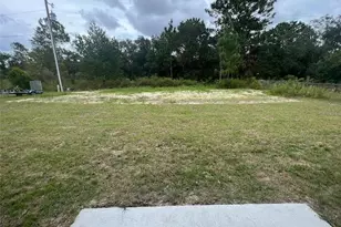 15087 SW 51st Terrace, Ocala, FL 34473 - Photo 14