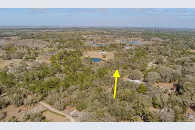 Cochran Road, Geneva, FL 32732 - Photo 24