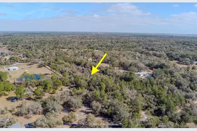 Cochran Road, Geneva, FL 32732 - Photo 26