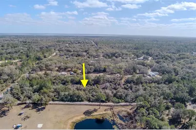 Cochran Road, Geneva, FL 32732 - Photo 22