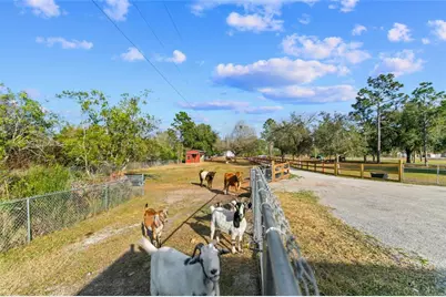 5242 Bancroft Boulevard, Orlando, FL 32833 - Photo 30