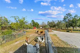 5242 Bancroft Blvd, Orlando, FL 32833 - Photo 30