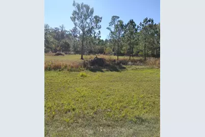 1838 NE 145th Avenue Road, Silver Springs, FL 34488 - Photo 6