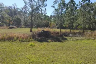 1838 NE 145th Avenue Rd, Silver Springs, FL 34488 - Photo 6